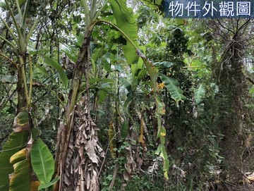 內門區/虎頭山段/農牧用地｜高雄市內門區虎頭山