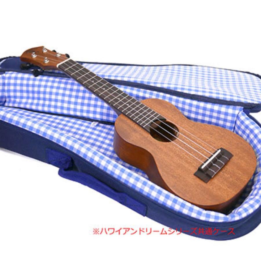 コンサートウクレレ アヌエヌエ aNueNue Hawaiian Dream Africa Mahogany II aNN-C30