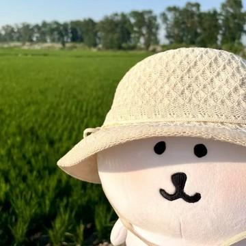 臺灣出貨💥可愛呆萌毛絨卡通公仔掛件玩偶生日禮物13cm自嘲熊玩偶chiikawa