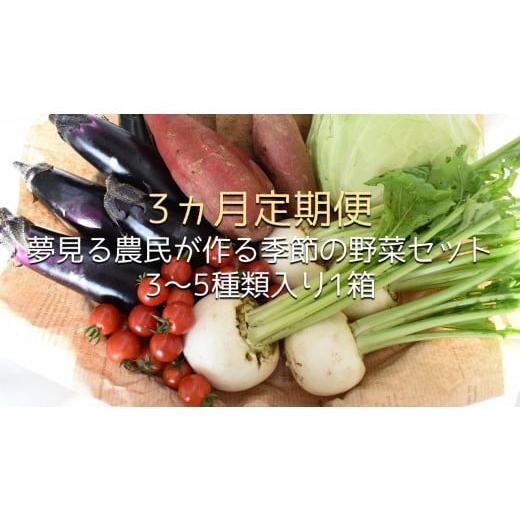 ふるさと納税 茨城県 行方市 CN-6  夢見る農民が作る季節の野菜セット 3〜5種類入り1箱