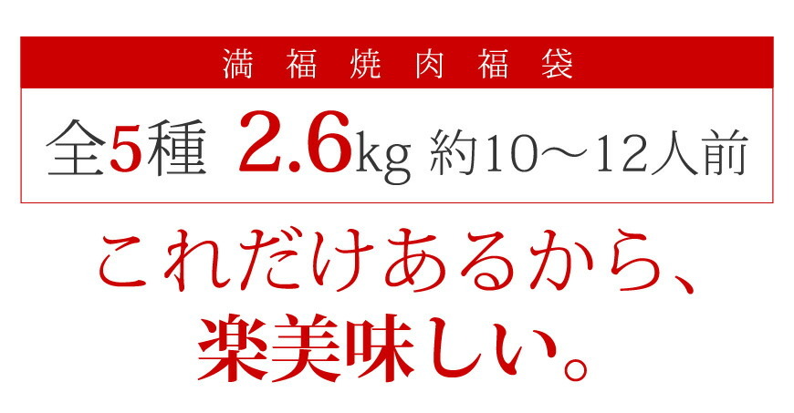 メガ盛り 焼肉BBQセット2.6Kg (10〜12人向け)   お祝い お歳暮 ギフト お取り寄せグルメ 焼肉 バーベキュー キャンプ アウトドア 大容量