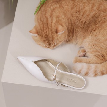 V狀&細葉條-尖頭鞋-白金色