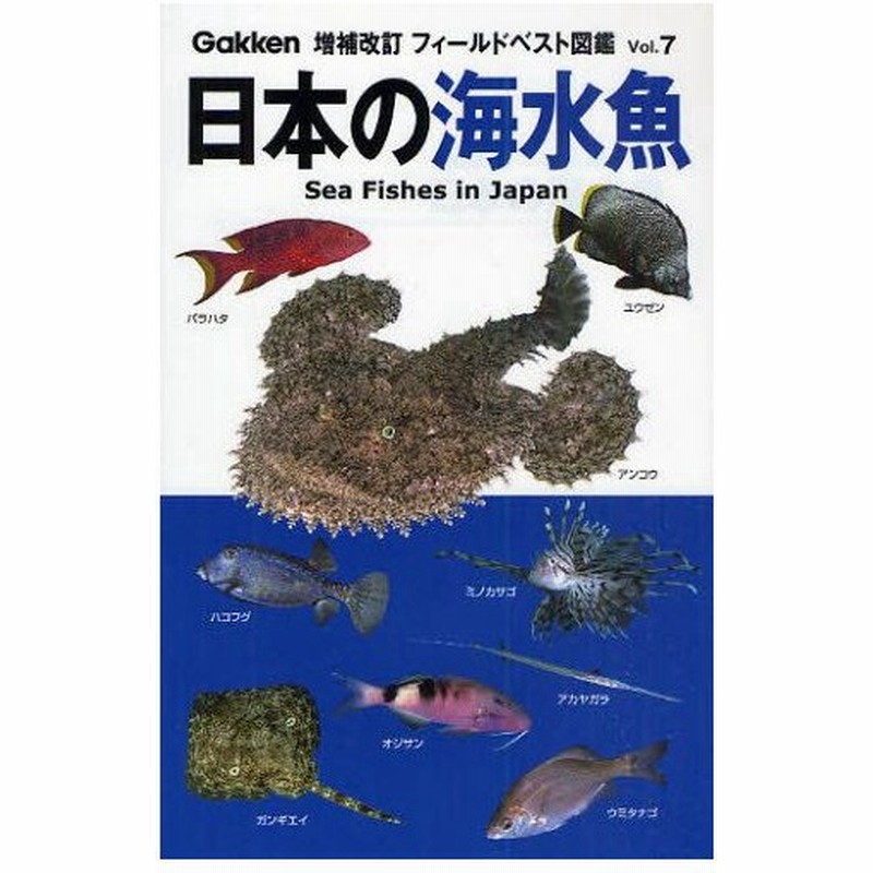 日本の海水魚 通販 Lineポイント最大0 5 Get Lineショッピング