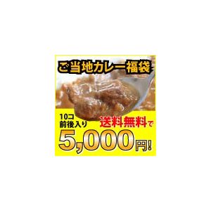 地カレー家福袋☆☆5000円セット☆☆送料無料 カレー レトルト 詰め合わせ