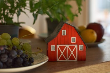 迷你手工屋模型