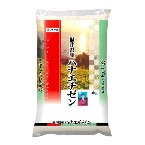 ハナエチゼン 5kg×2袋 福井県産 米 お米 白米 おこめ 華越前 単一原料米 ブランド米 10キロ 国内産 国産 令和4年産 (10kg)