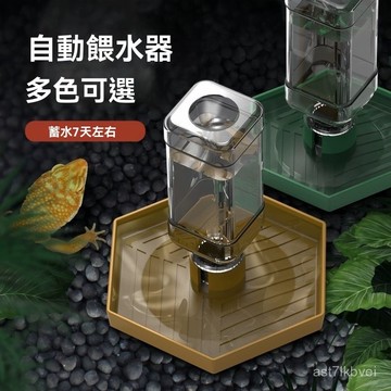 🔥爬寵生活館🔥爬寵餵水器 爬寵餵食器 爬寵水盆 304不鏽鋼水盆 爬寵自動餵水器 陸龜 蜥蜴 守宮爬寵陸龜半水龜爬蟲食盆