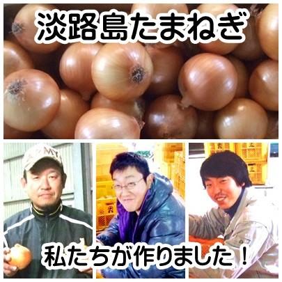 淡路島産玉ねぎ訳あり１０kg 家庭用にどうぞ！2023年産 ＊地域限定送料無料でお届けいたします！