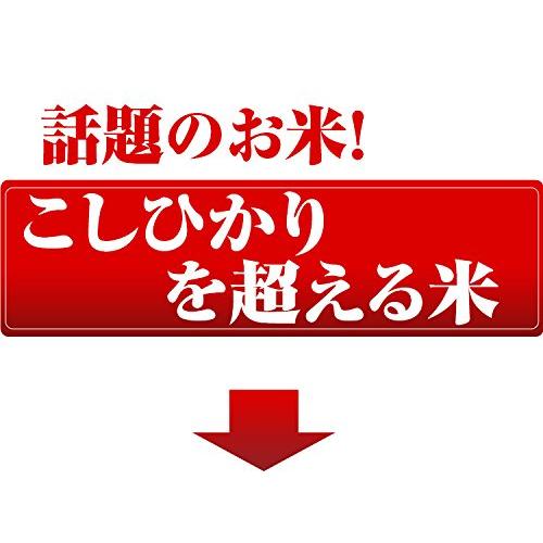 長野県 ミルキークイーン 白米 5kg 令和4年産