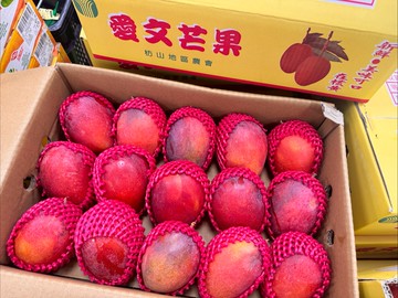 [芯鮮果]南臺灣嚴選 ( 愛文芒果 )