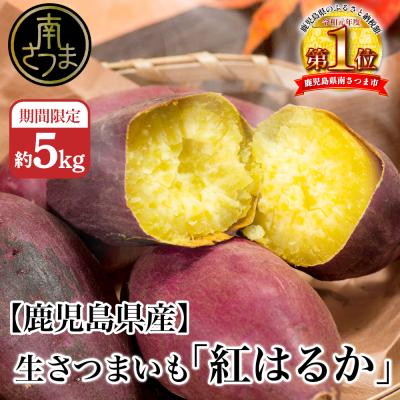 ふるさと納税 南さつま市 生さつまいも 「紅はるか」約5kg