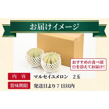 ふるさと納税 マルセイユメロン 2玉 約2.4kg（約1.2kg以上×2玉）大人気の赤肉品種！高級メロンの味わい ／ 果物 フルーツ ギ.. 福井県あわら市