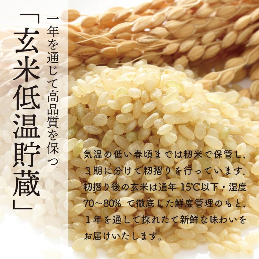 新米好評発売中！あきたこまち 30kg 1等玄米 送料無料 2023年産 令和5年産  秋田県産 農家直送 送料無料