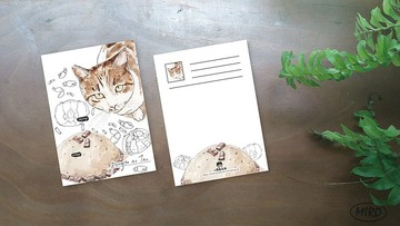 小島畫畫課蘭嶼貓與風味餐明信片02款