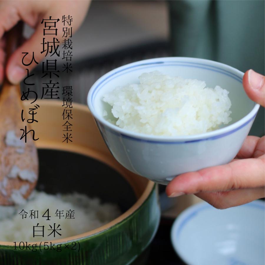 特別栽培米 宮城県登米産 環境保全米 ひとめぼれ 令和5年 白米 10kg（5kg×2） 
