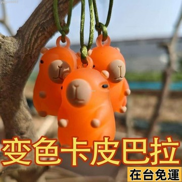 🌱台灣出庫🌱 網紅可愛變色卡皮巴拉鑰匙扣吹泡泡卡通公仔掛件車載汽車水豚禮品 HKNE