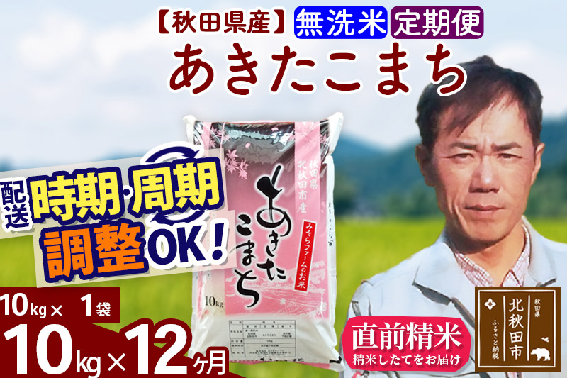 《定期便12ヶ月》＜新米＞秋田県産 あきたこまち 10kg(10kg袋) 令和5年産 お届け時期選べる 隔月お届けOK お米 みそらファーム 発送時期が選べる|msrf-30612