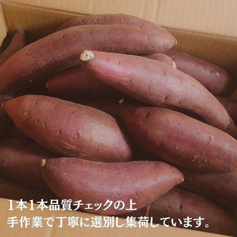 柿の木坂マルシェ さつまいも 令和5年産 シルクスイート 茨城県産 千葉県産 A品Mサイズ 10kg