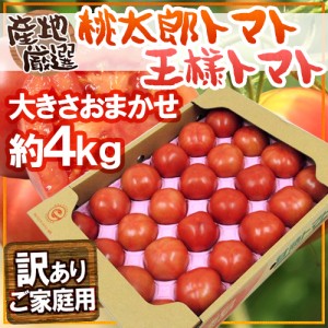 訳あり ”桃太郎トマトor王様トマト ほか” 約4kg 大きさおまかせ 産地厳選 送料無料