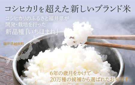 お米の定期便6回お届け！米どころ福井のお米！いちほまれ5kg×6回 [e27-d001] 福井県 いちほまれ 定期便 6ヶ月連続 米 お米