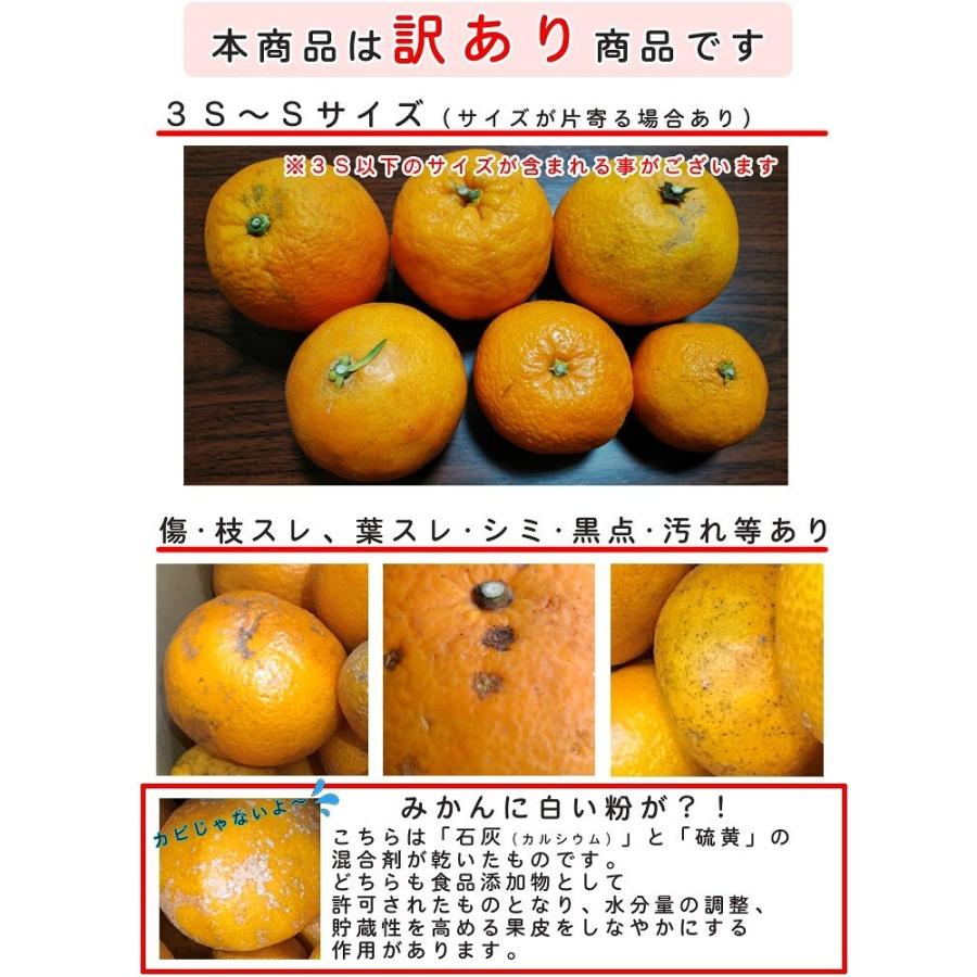 みかん 小玉（3S-Sサイズ） 10kg（箱込約10kg） 和歌山県産 訳あり・ご家庭用 送料無料（東北・北海道・沖縄県除く）