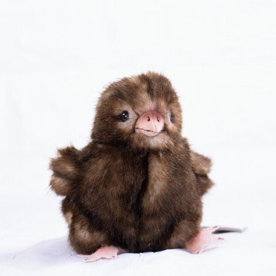 ケーセン ぬいぐるみ kosen ひよこ 茶色 11cm リアル 動物