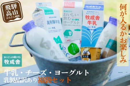 乳製品 訳あり 福袋 ヨーグルト 牛乳 種類おまかせ  訳あり 詰合せ 牧成舎 TR3754