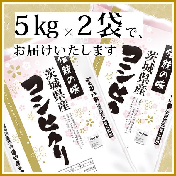 新米 令和５年産 お米 10kg 送料無料 コシヒカリ 白米 5kg×2袋 茨城県 産直 五ツ星お米マイスター厳選米