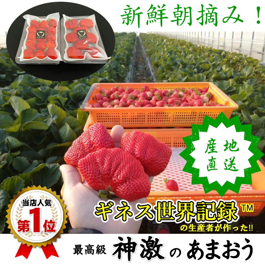 いちご お歳暮 苺 プレゼント ギフト おすすめ 高級 神激のあまおう 送料無料 人気 1箱 2パック 通販 LINEポイント最大0.5%GET | LINEショッピング いちご お歳暮 苺 プレゼント ギフト おすすめ 高級 神激のあまおう 送料無料 人気 1箱 2パック 通販 LINEポイント最大0.5%GET | LINEショッピング