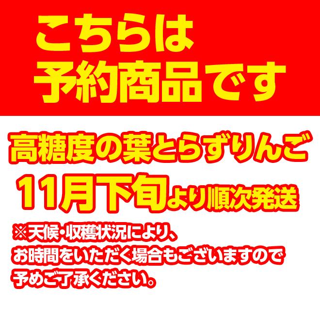 りんご サンふじ 王林 ミックス 葉とらず 10kg (28玉〜36玉入り) 訳あり 産地直送 青森県産 リンゴ 林檎 あまい 果物 くだもの フルーツ 11月下旬より発送