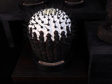 黑王丸(大)/仿生植物/塊根/居家擺飾/水泥飾品