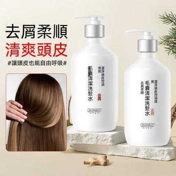 🚀台灣現貨🔥HUNMUI 韓倫美毛囊清潔洗髮水 380ml 附壓頭 控油清爽 去屑柔順 清潔頭皮 草本植萃 洗後蓬鬆