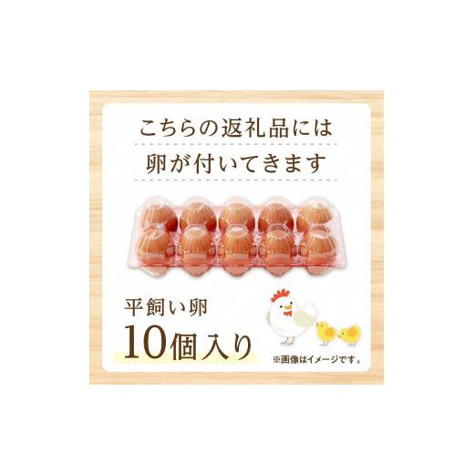 ふるさと納税 京都府 京丹後市 野菜 定期便 6回（卵付き）京の旬野菜セットL平飼い卵付き（栽培期間中農薬・化学肥料不使用）＜京都 オーガ…