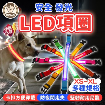 寵物發光LED項圈【布萊恩👨🏻隔日到貨】發光項圈 寵物發光項圈 尼龍項圈 發亮項圈 狗項圈 散步神器 寵物用品