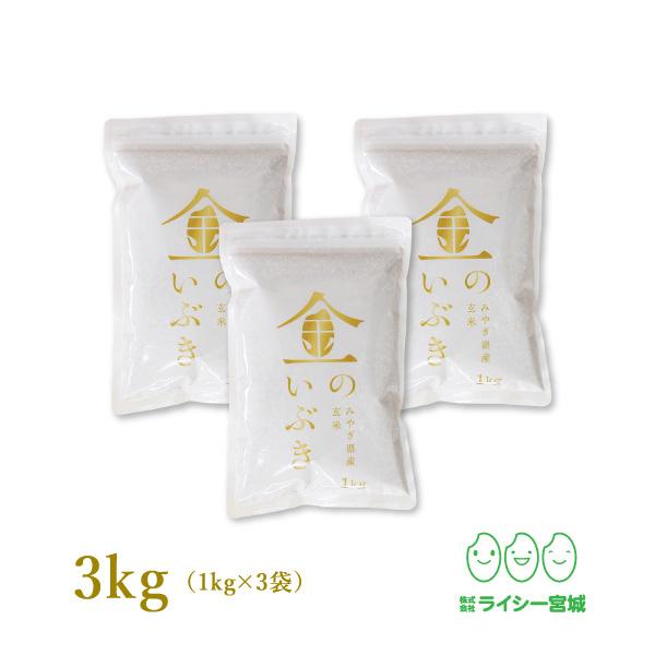 宮城県産　高機能玄米　真空圧縮パック　1kg×3袋　LINEショッピング　令和5年産　小分け　玄米　金のいぶき　新米　3kg