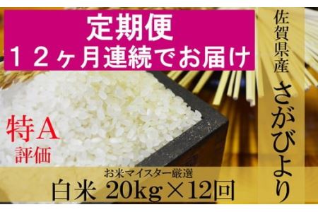 《12ヶ月定期便》鹿島市産さがびより　白米（毎月２０ｋｇ×１２回） V-11