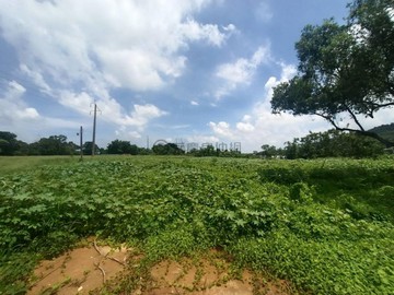 銅鑼樟樹段｜稀有農建值得入手洽｜苗栗縣銅鑼鄉樟樹