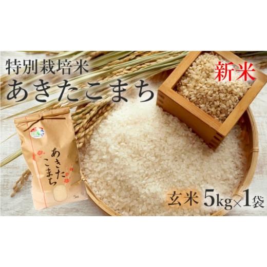 ふるさと納税 秋田県 能代市 特別栽培米 あきたこまち 5kg 秋田県産 令和5年産