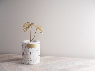 【植系列】龜背芋 黃銅小盆栽 x 擴香 Monstera Houseplants