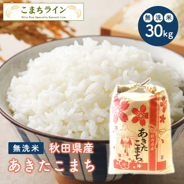 新米！令和5年産 秋田県産 あきたこまち 30ｋｇ 精米後27kg