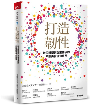 打造韌性︰數位轉型與企業傳承的不斷再合理化路徑[二手書_普通]