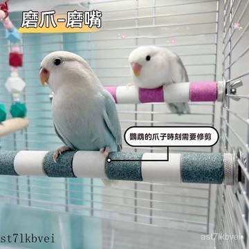 鸚鵡站桿 鸚鵡磨爪站棍 鸚鵡用品 鳥類站架 鸚鵡磨砂站桿 鳥籠配件 鸚鵡用品 鳥類玩具鳥用磨砂站棍磨爪棒啃咬玩具鳥站架站
