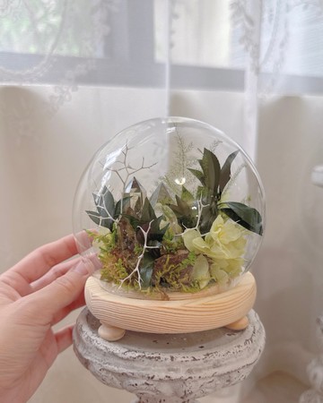 招財吸引力 巴西黃水晶 微景觀玻璃罩_不用澆水的永生葉材