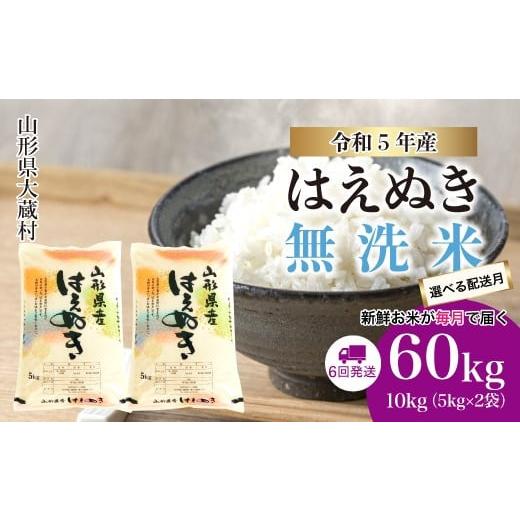 ふるさと納税 山形県 大蔵村 令和5年産 大蔵村 はえぬき  定期便 60kg （10kg×1か月間隔で6回お届け）