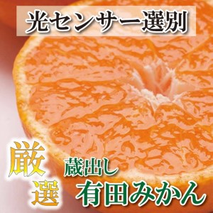 ＜先行予約＞厳選　蔵出みかん3.5kg 105g（傷み補償分）| 蜜柑 オレンジ 柑橘 産地直送 ※着日指定不可 ※北海道・沖縄・離島への配送不可 ※2024年1月中旬～2月下旬頃に順次発送予定