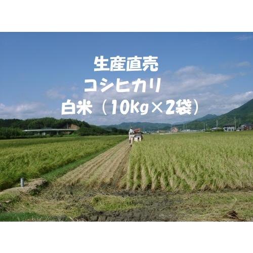 令和４年産新米 コシヒカリ 白米 20kg （10kg×2袋）分搗き米対応