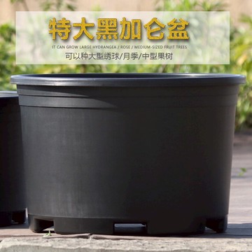 大花盆加大黑色矮胖加侖花盆樹脂花盆繡球葡萄大口徑透氣盆栽花盆