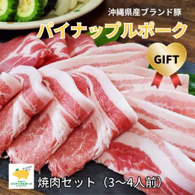 ふるさと納税 与那原町 パイナップルポーク焼肉セット(3〜4人前)