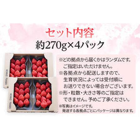 ふるさと納税 先行予約 福岡育ち あまおう いちご 約270g×4パック 合計1080g  CB223 福岡県大木町