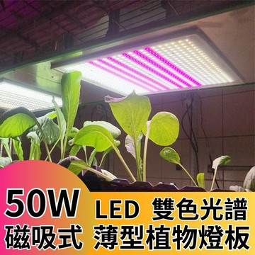 【君沛植物燈】LED植物燈 LED50W薄型植物燈板 50W 磁吸式植物燈 雙色光譜設計 有助於提高栽培效率和作物質量